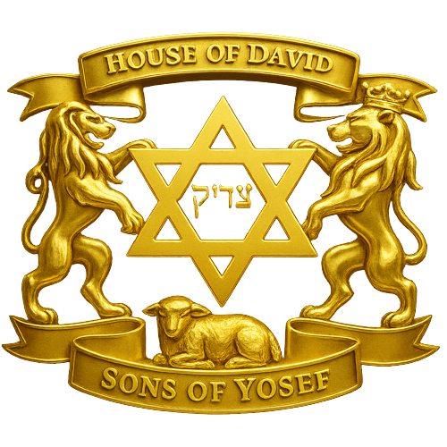 House of David